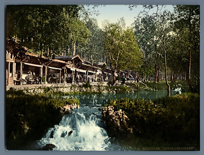 Bad Harzburg. Under the Oaks.  PZ vintage photochromic, Germany photochr