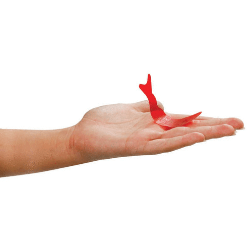 Fortune Teller Miracle Fish - Set of Three Fish - Red Fish Tells Future! - Picture 3 of 4