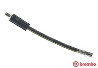 Bremsschlauch Brembo T 85 037 FüR Audi B4 A4 80 B5 A6 200 100 C3 443 444 Avant