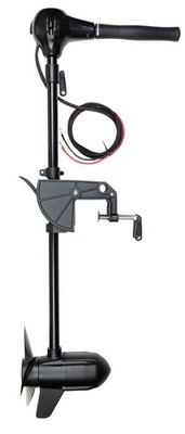 FOX 80lb 12V BL Engine 115cm by TACKLE-DEALS !!!