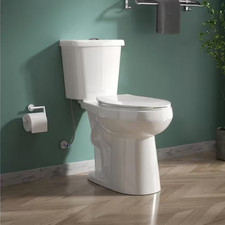 Tallest round Toilet 21 in Height Dual Flush 1.1/1.6 GPF White 2-Piece Toilet wi