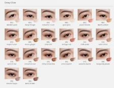 COSME DECORTE Eye Glow Gem Skin Shadow 6g Japan