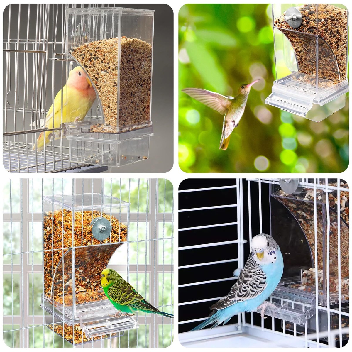 Automatischer Futterspender Für Vögel – Kein Verschütten, Aus Acryl, Für Käfige (Nymphensittiche, Wellensittiche Etc.)