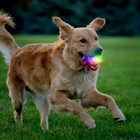 Foto 4 di 4