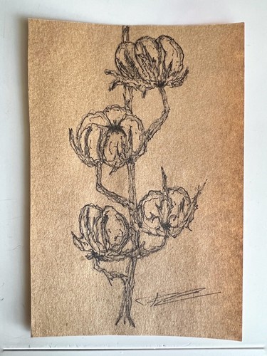 Fluffy Cotton Flower Branch Drawing 4*6” Cotton Branch Decor French Country Art - 第 10/12 張圖片