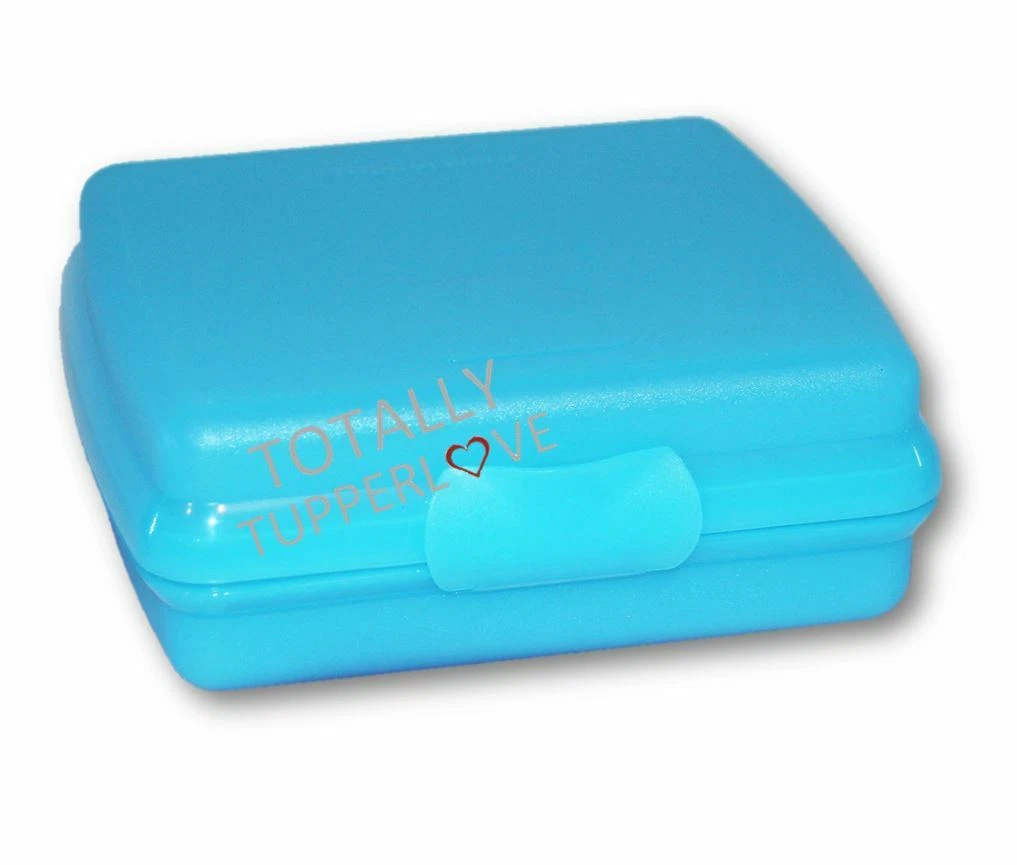 Tupperware Sandwich Keeper Hinged Lunch Box Blue ❤️ | eBay