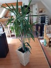 Bild 2 von 11