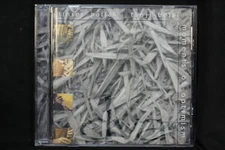 Linsey Pollak Tunji Beier moments Of Optimism  (C449