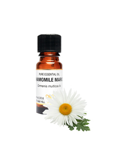 Amphora Aromatics Chamomile Maroc. Pure Essential Oil 10ml