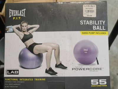 everlast stability ball