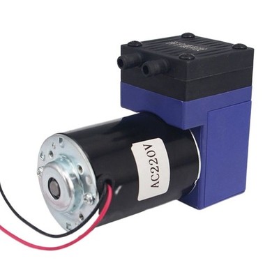 High Efficiency 12V Miniature Vacuum Pump Brush Piston Pump for Camping Fishing