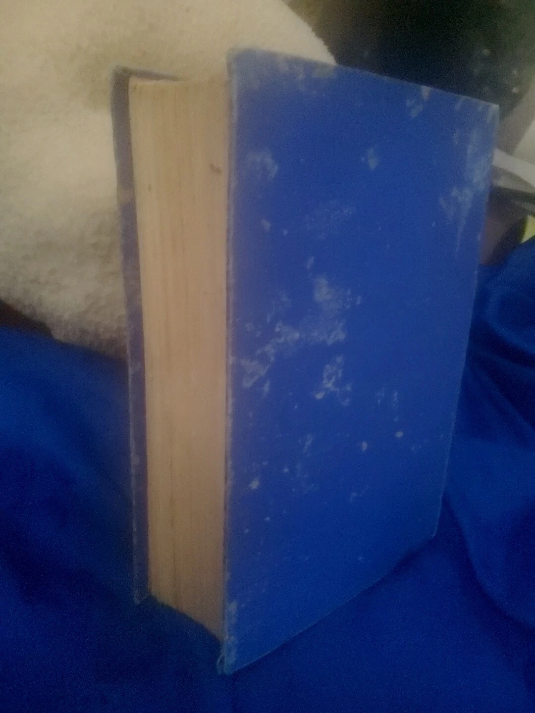 Picture 2 of 4
