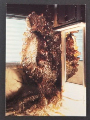 Species 1995 Movie Comic Images Card #50 (NM)