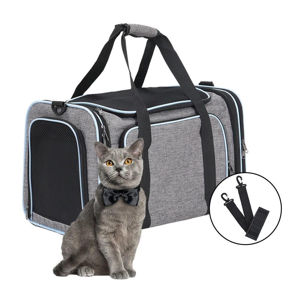 Cat carry hotsell on luggage