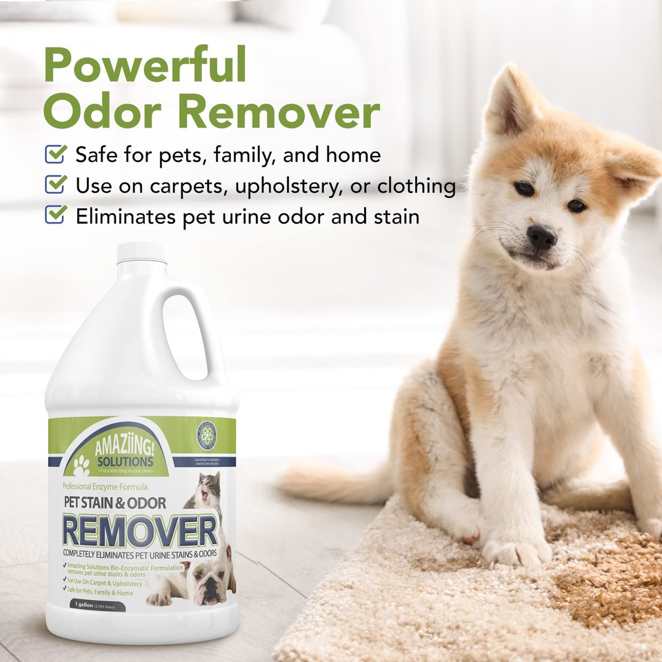 Pet Stain and Odor Remover Enzyme Cleaner, Pet Urine Odor Eliminator