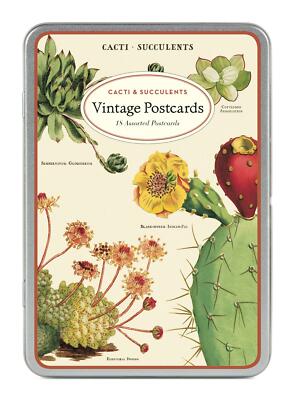 Cavallini - Kakteen/Sukkulenten - 18 Vintage Postkarten - 9 Designs/2 pro Design