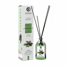 CREATION CREATION Reed Diffuser 115 ML Pine and Mint -1 pack