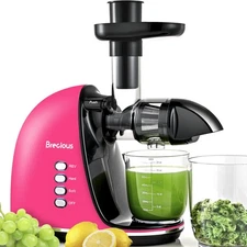 Slow Masticating Juicer,Cold Press Juicers with 2 Speed Modes & Quiet Motor,J...