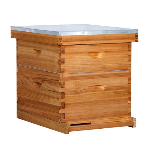 10 Frame Bee Hive Starter Kit, Complete Beehive Kit for Beekeepers Dipped in ...