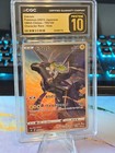 Foto 12 di 13