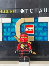 Lego Ninjago Minifigure njo194 njo0194 70605 70591