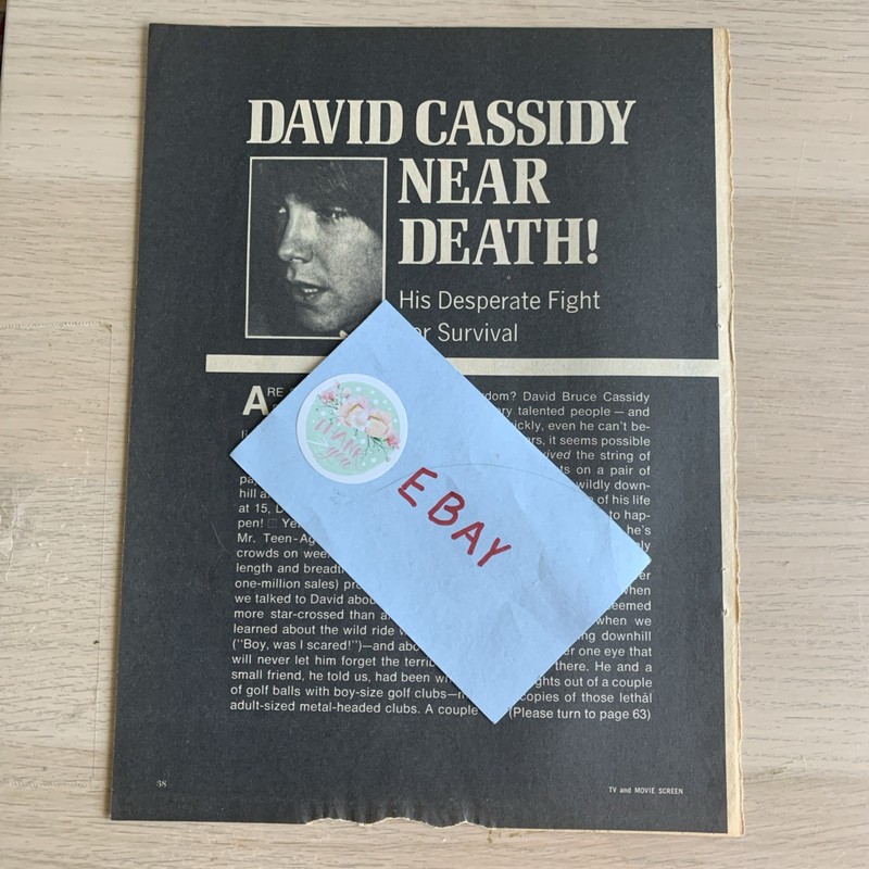 David Cassidy - Vintage Clippings ( The Partridge Family) #1