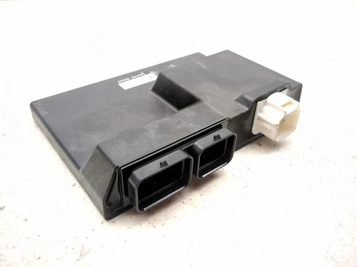 CONTROL UNIT, FI