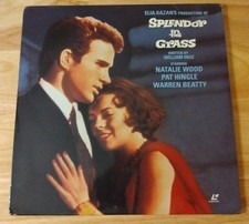 Splendor in the Grass NATALIE WOOD WARREN BEATTY Laserdisc LD  NOT A DVD 