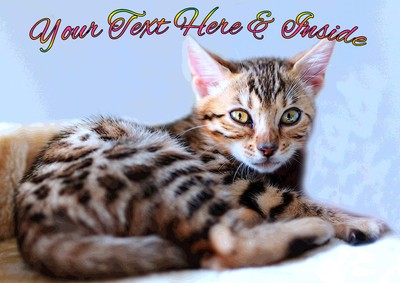 PERSONALISED BENGAL CAT KITTEN BIRTHDAY ANY OCCASION CARD + Illustrated