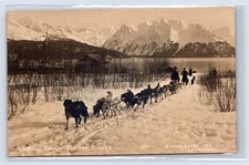 RPPC Alaska Seward to Susitna U.S. Mail Dog Team 1913