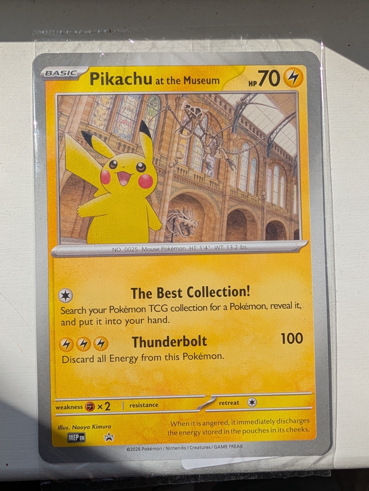 Pokémon Pikachu At The Museum Jumbo Card Promo
