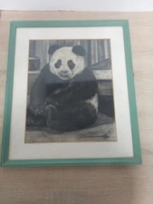 1973 Panda Etching Signed by Artist Zinc Mat White Framed