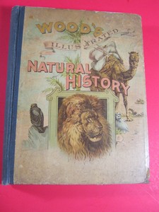 WOOD S ILLUSTRATED NATURAL HISTORY MCCARTHY CO. BOOK eBay