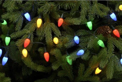 FESTIVE Christmas fairy lights 50 LED festoon retro style multi coloured Xmas outdoor