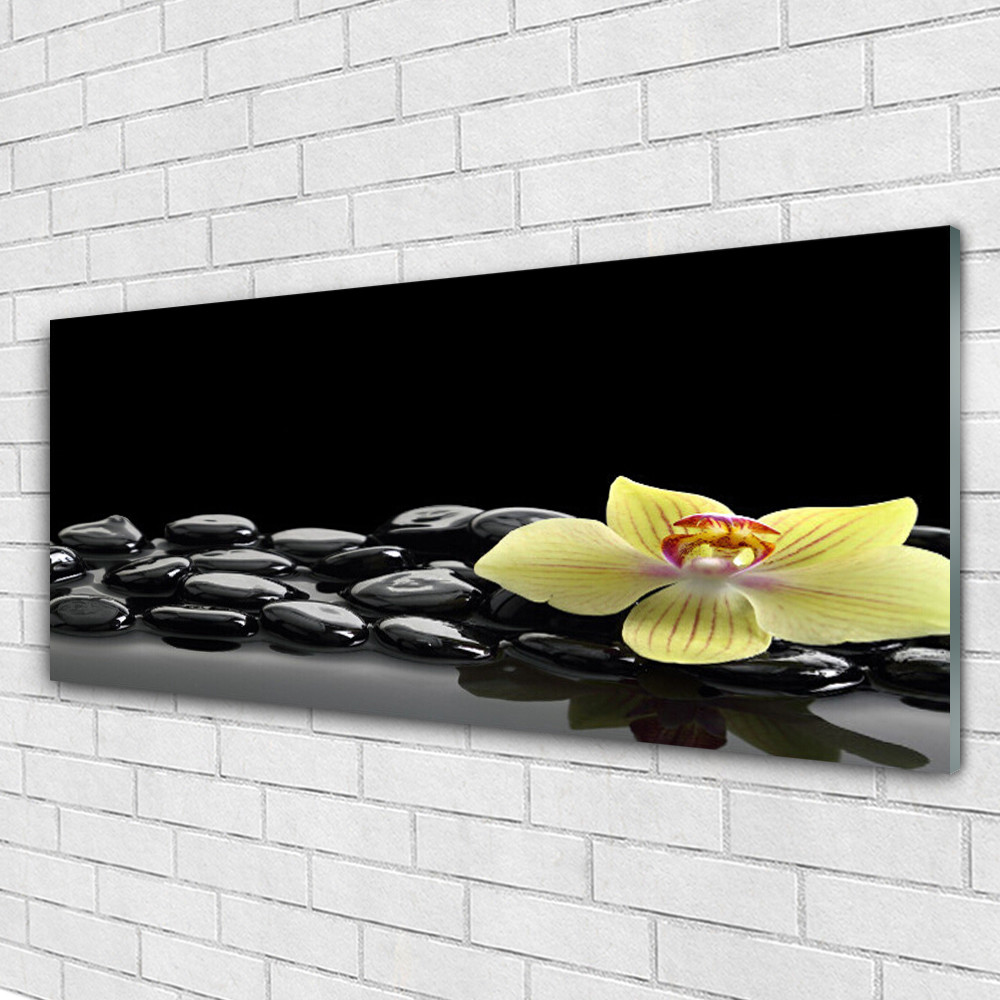 Tableaux 125x50 de prestige en verre brillant collection nature zen pierres et fleurs
