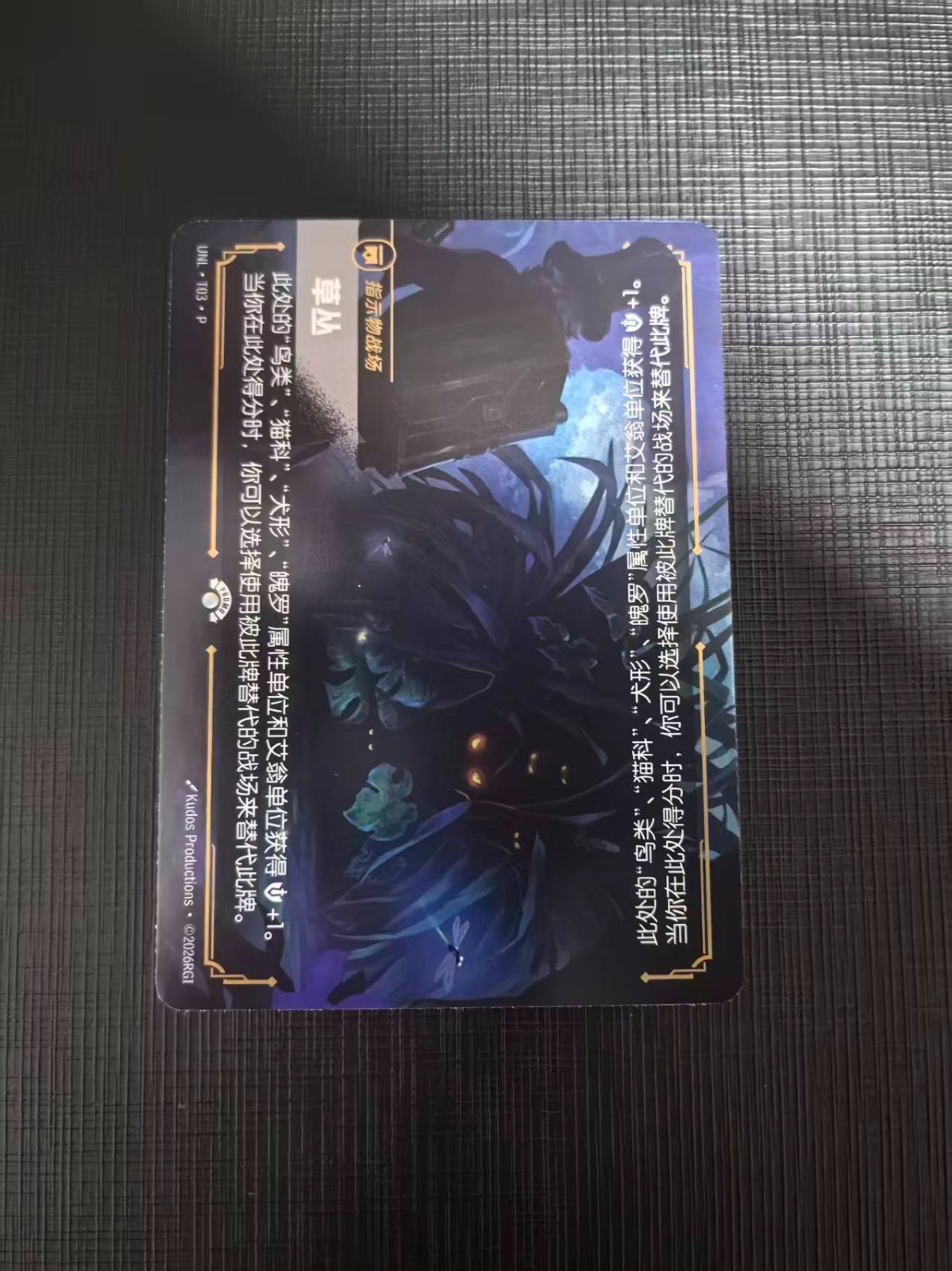 Riftbound: LOL TCG Chinese-Unleashed-Token Bird & Brush-Limited Promo ...