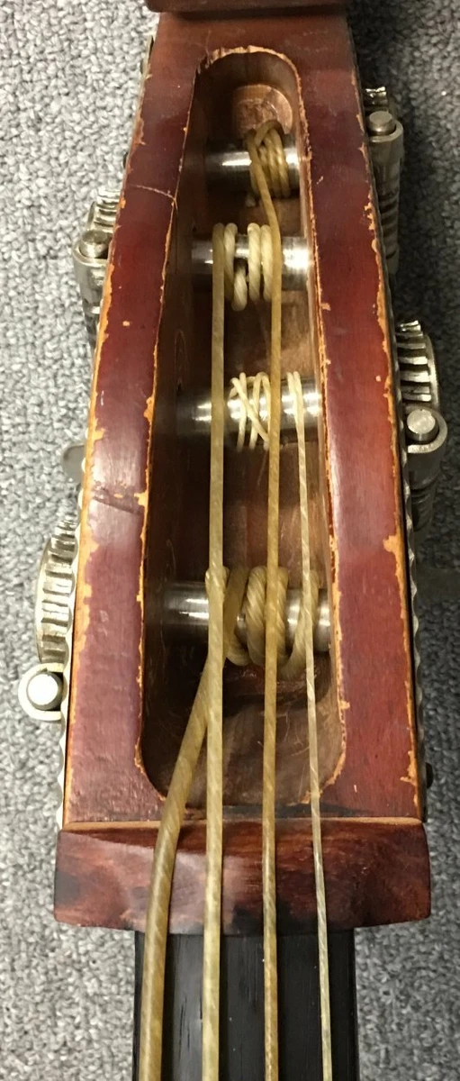 Pros And Cons Of Gut Strings TheBIGreason Blog, 46 OFF