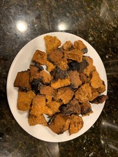chaga 10 lbs of small chunks