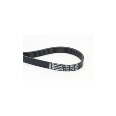 Keilrippenriemen CONTINENTAL CTAM 6PK1070 für AUDI CITROËN FIAT LANCIA OPEL SEAT