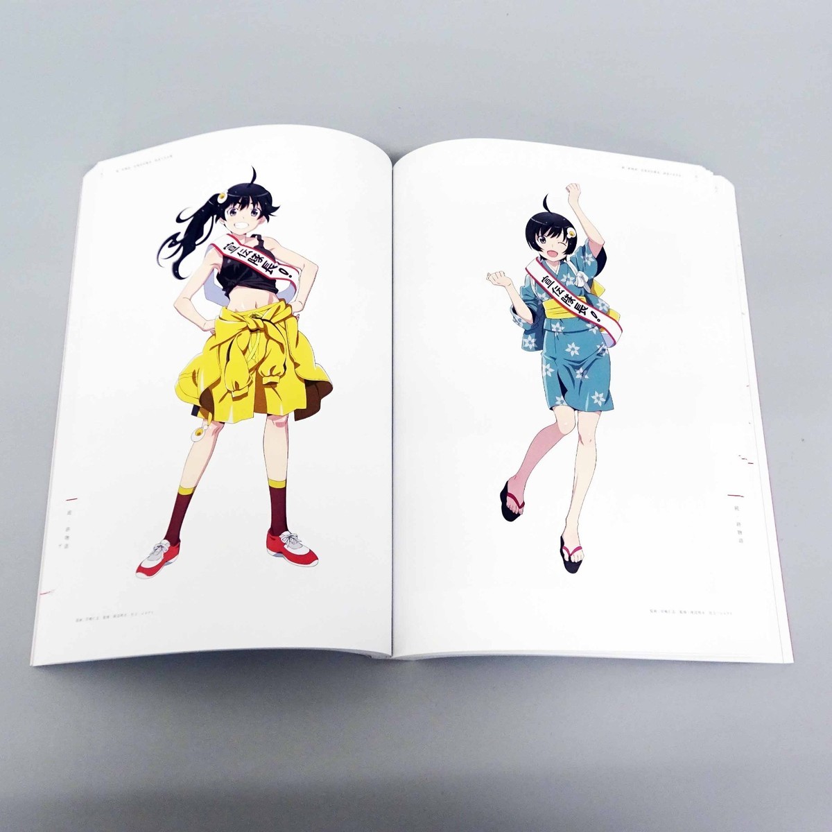 Bakemonogatari Animation 10th Anniversary Illustration Works Art