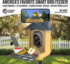 Bird Feeder with Camera - Smart Bird Cam with AI Identify BirdSpecies