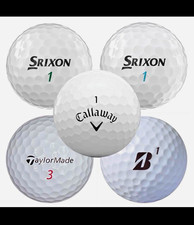 Srixon Callaway TaylorMade Bridgestone White Golf Balls