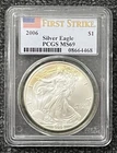 2006 Silver American Eagle MS-69 PCGS (First Strike) TONER!