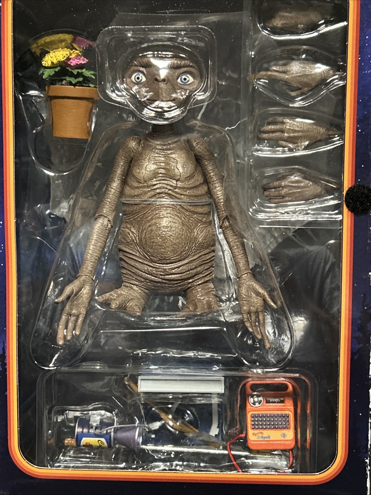 Picture 6 of 10