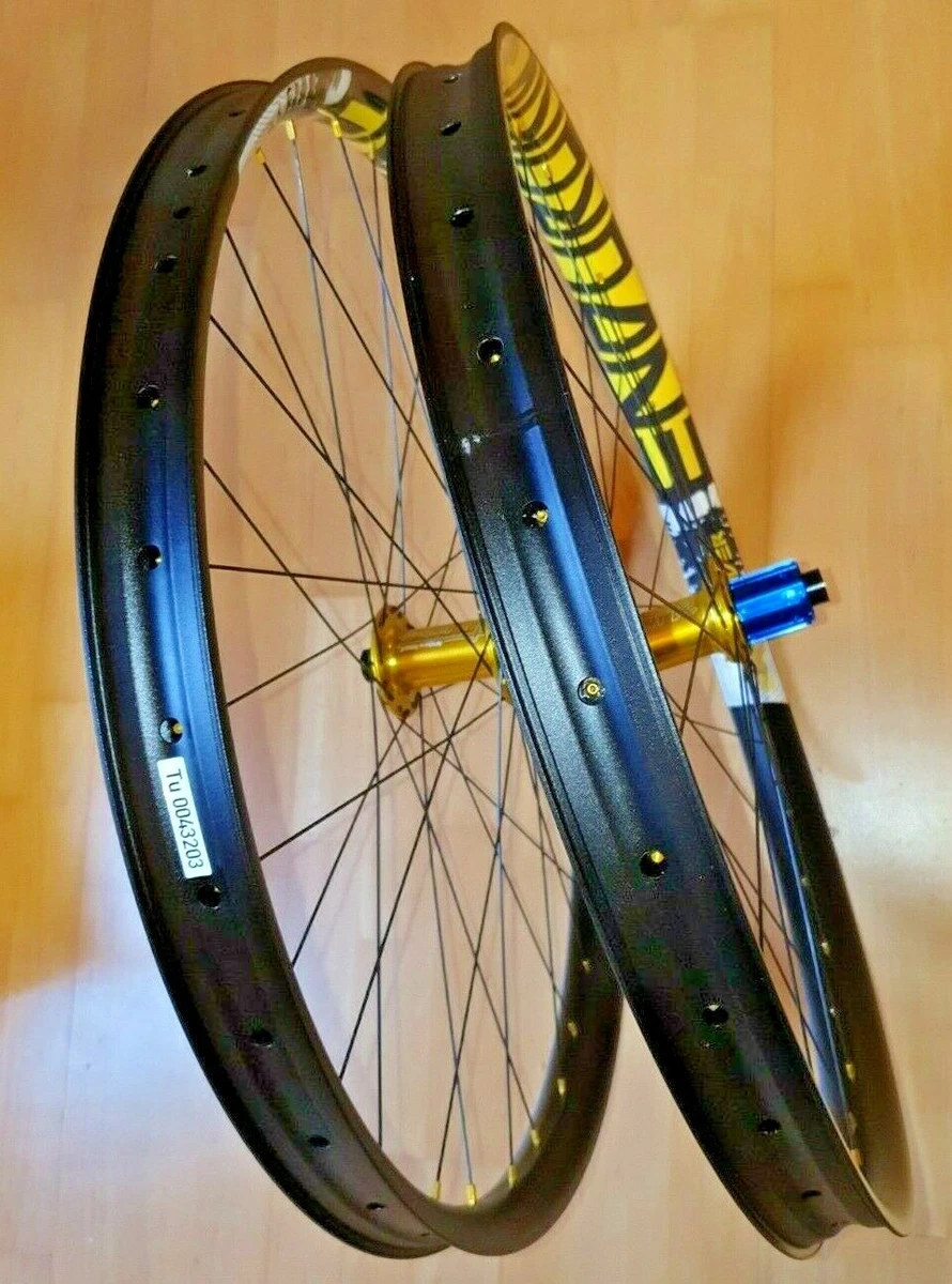 golden belt bicycle company