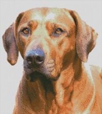 Cross Stitch Chart, Pattern, Rhodesian Ridgeback, Renaissance Hound, Dog, KC