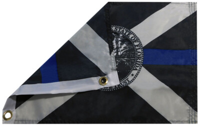 12x18 30.5cmx45.7cm Stato Di Florida Manica Bandiera Barca Auto - Foto 8