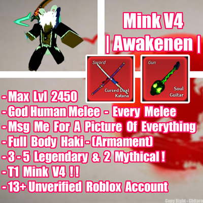 Mink V4 Tier10  Blox Fruit Account Lv:2450Max Fully Awaken Dough