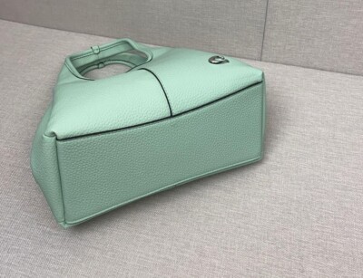 COACH light green CM545 LANA 23 Polished pebble Leather 2way