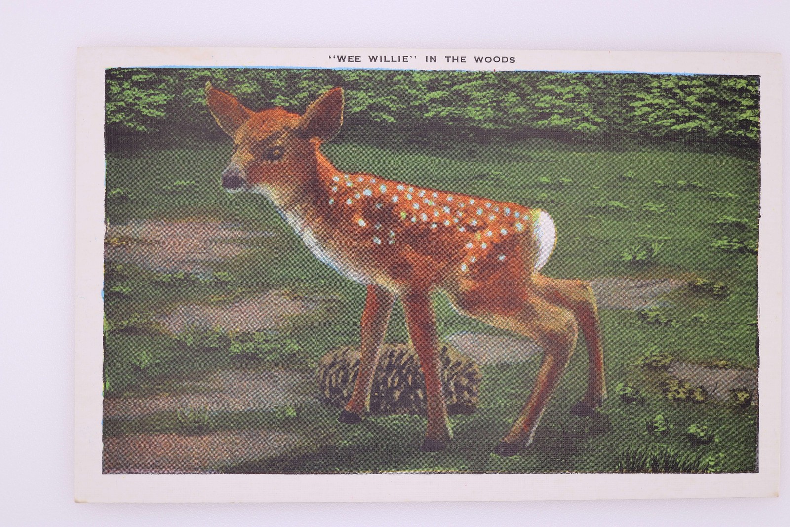 Picture 2